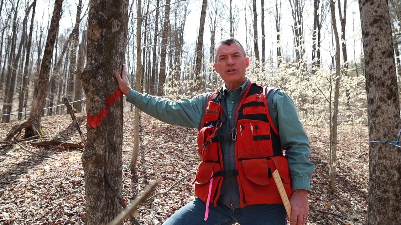 16 Chapter 05 Crop tree management