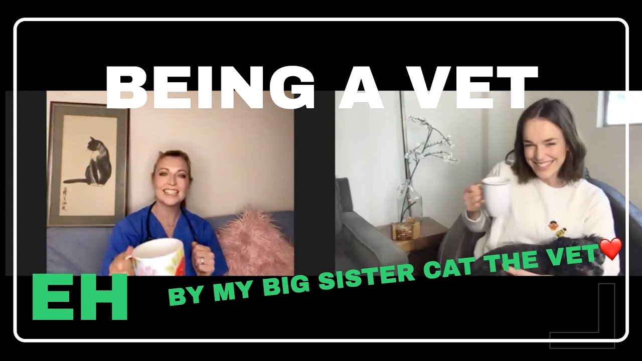 BEING A VET...(MOSTLY) WITH CAT THE VET