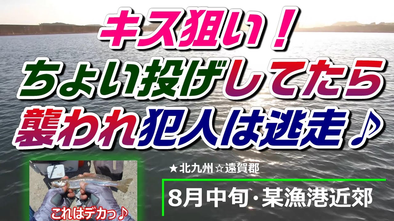 【8月中旬】☆キス釣りしてたら襲われ ( ﾟДﾟ)犯人は逃走♪