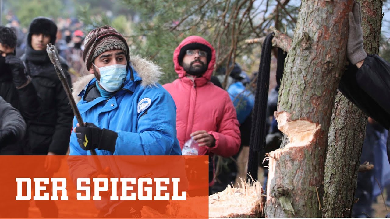 Belarussische Grenze zu Polen: Hunderte Migranten in verzweifelter Lage | DER SPIEGEL
