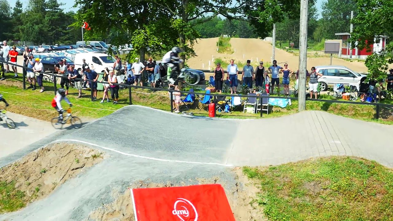 Dragon BMX DM 2015