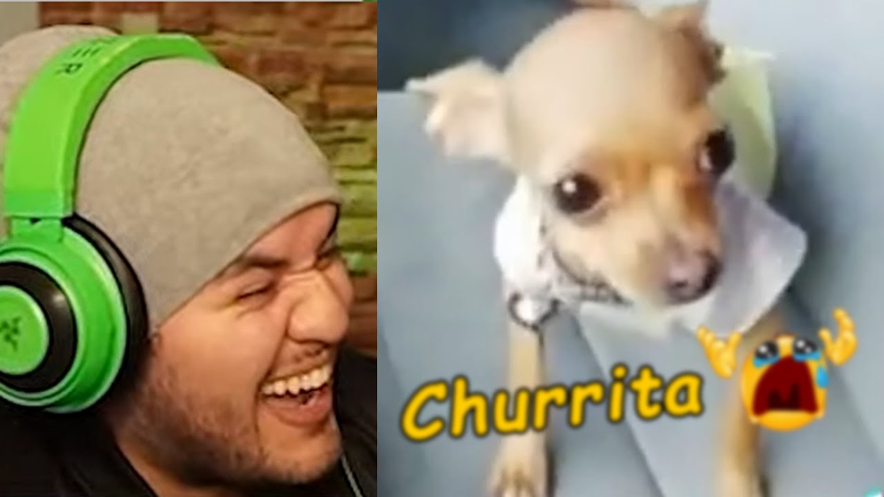 TIKTOKS tan XD que tumbarán a Churrita😔