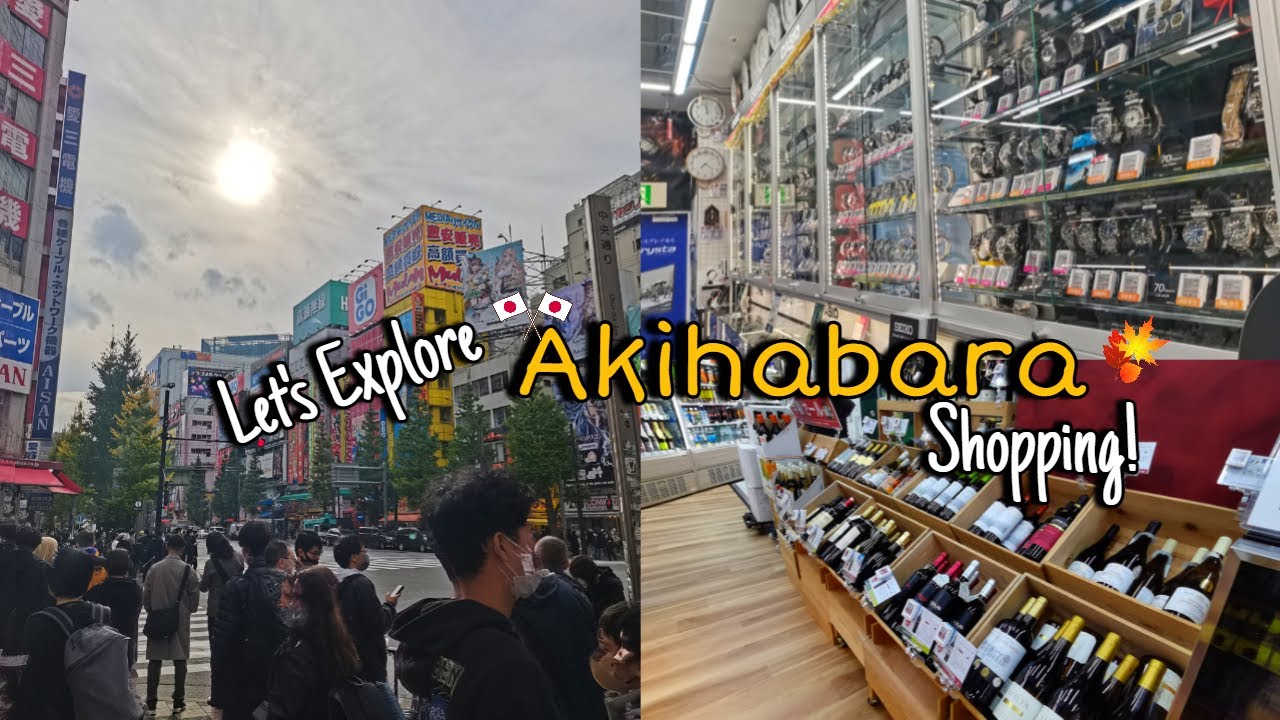 AKIHABARA the shopping district of Gadgets, Electronics & Anime in Tokyo, Japan | Viev Vlog