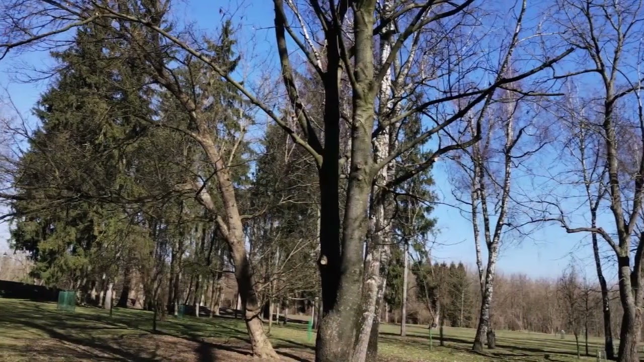Парк и Дворец Любомирских в Пшемысле №1 Park i Pałac Lubomirskich w Przemyślu 5/03/2026