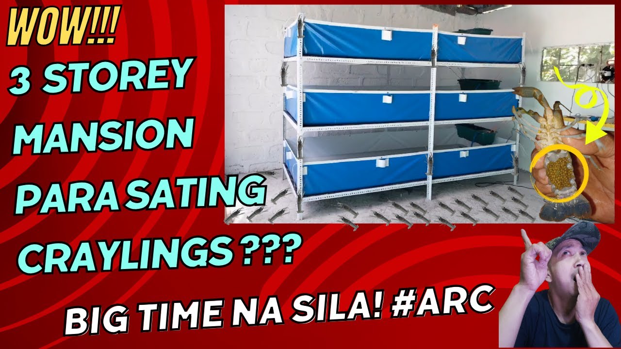 Huge 3 Layer Trapond ARC Craylings + Crayfish Farm Exclusive Update