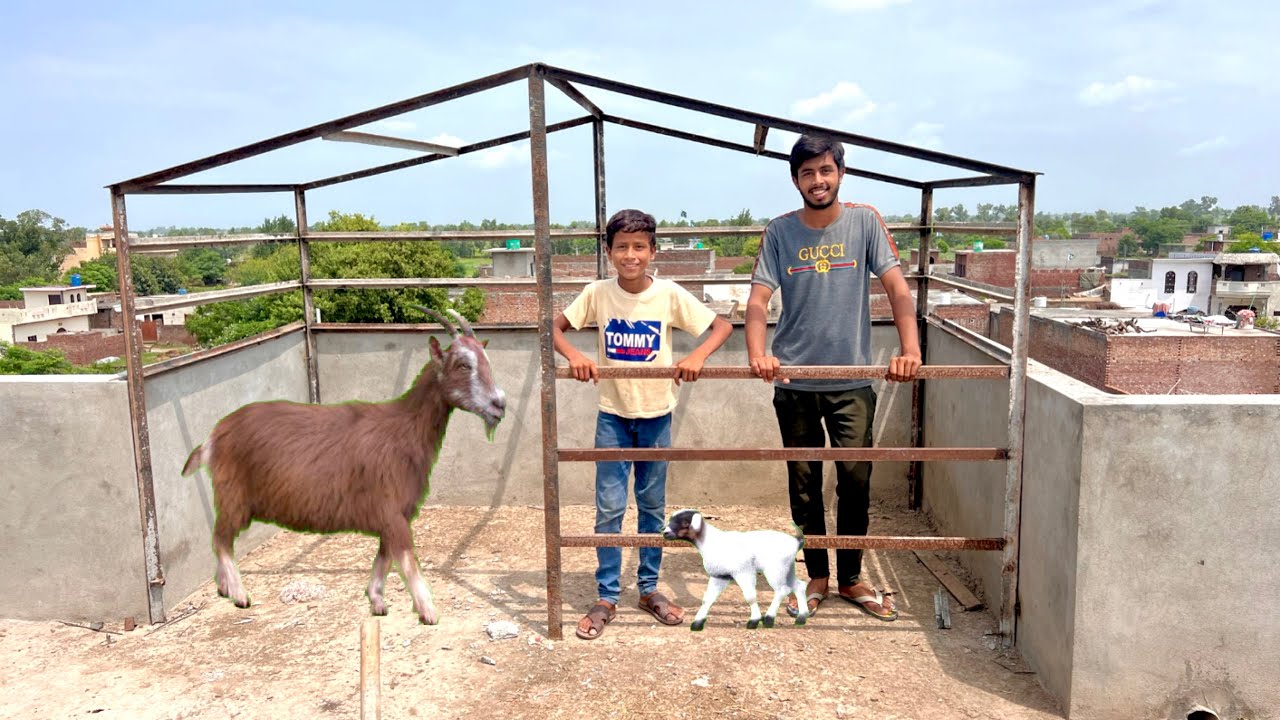 New Goat House Baan Raha Hai 😍 | Alhamdulillha | Dawood Sabir Vlogs