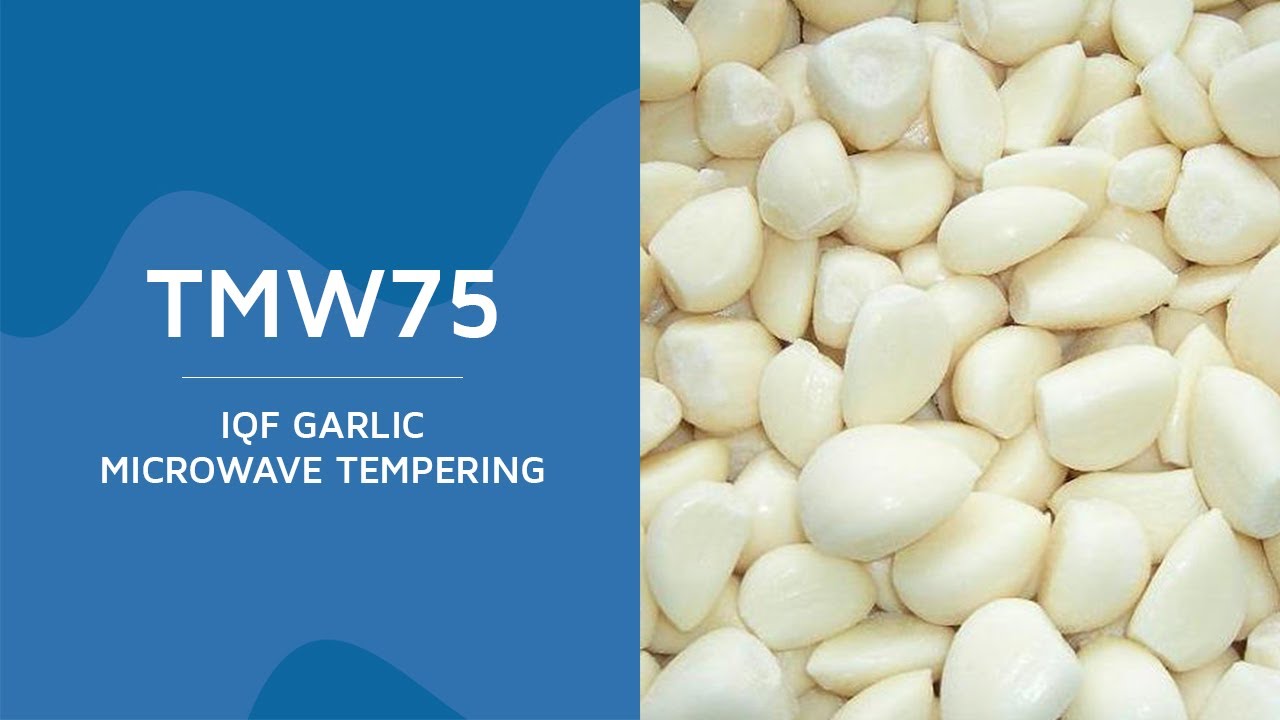 TMW75 - IQF garlic tempering