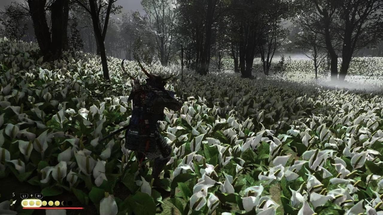 Ghost of Tsushima_70