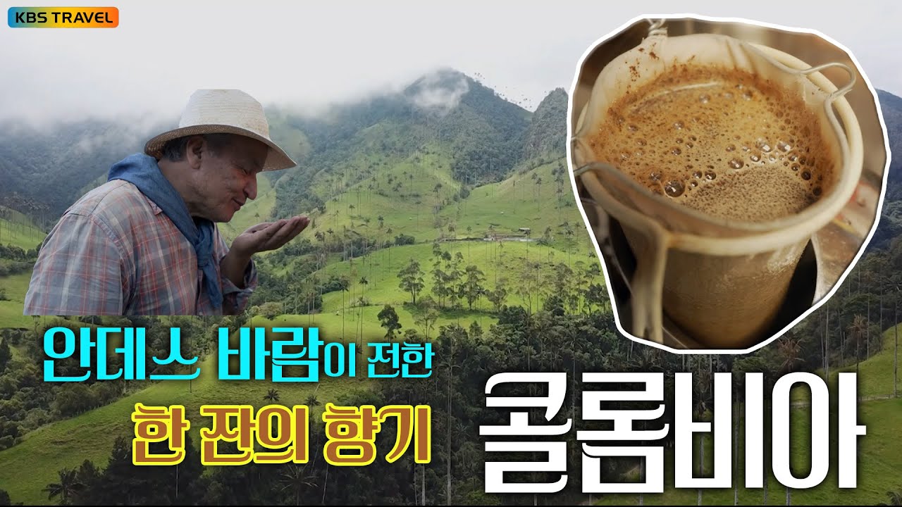 [☕️커피투어]풍경도 커피향이 나는 콜롬비아 #kbs여행 #월요일