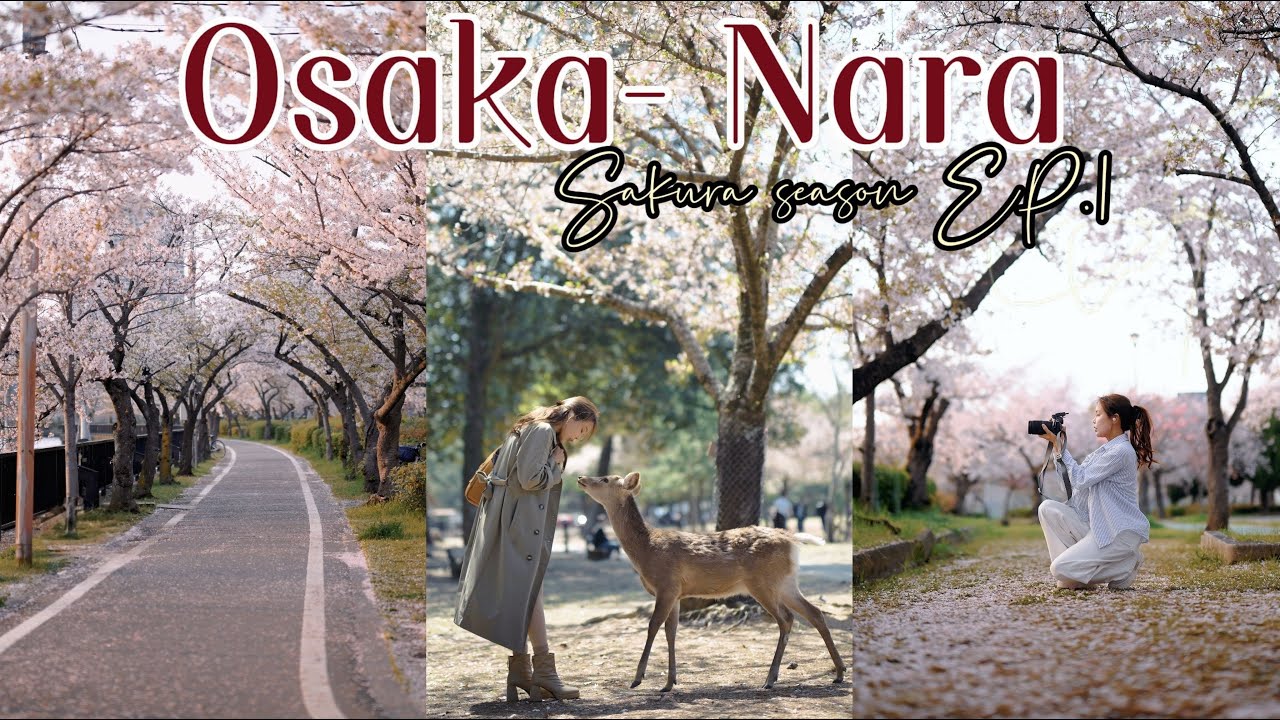 Osaka Part 1: Osaka - Nara Sakura Osaka Price Update, Restaurants, Attractions, Photo Spots