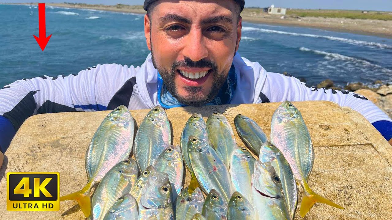 BU AKSİYONU DENE ! / Kıyı At Çek Spin LRF Balık Avı / Light Rock Fishing