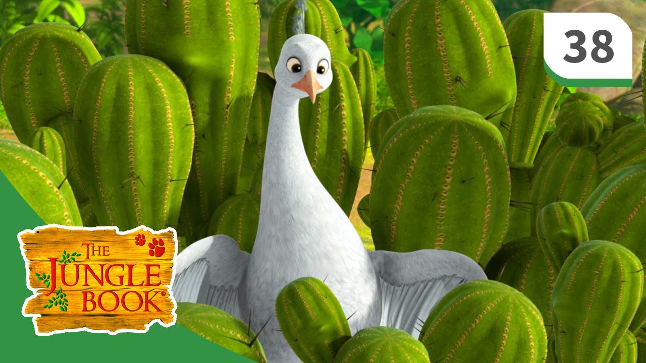 The Jungle Book ☆ Pavo The Bold ☆ Season 3 - Episode 38 - Full Length