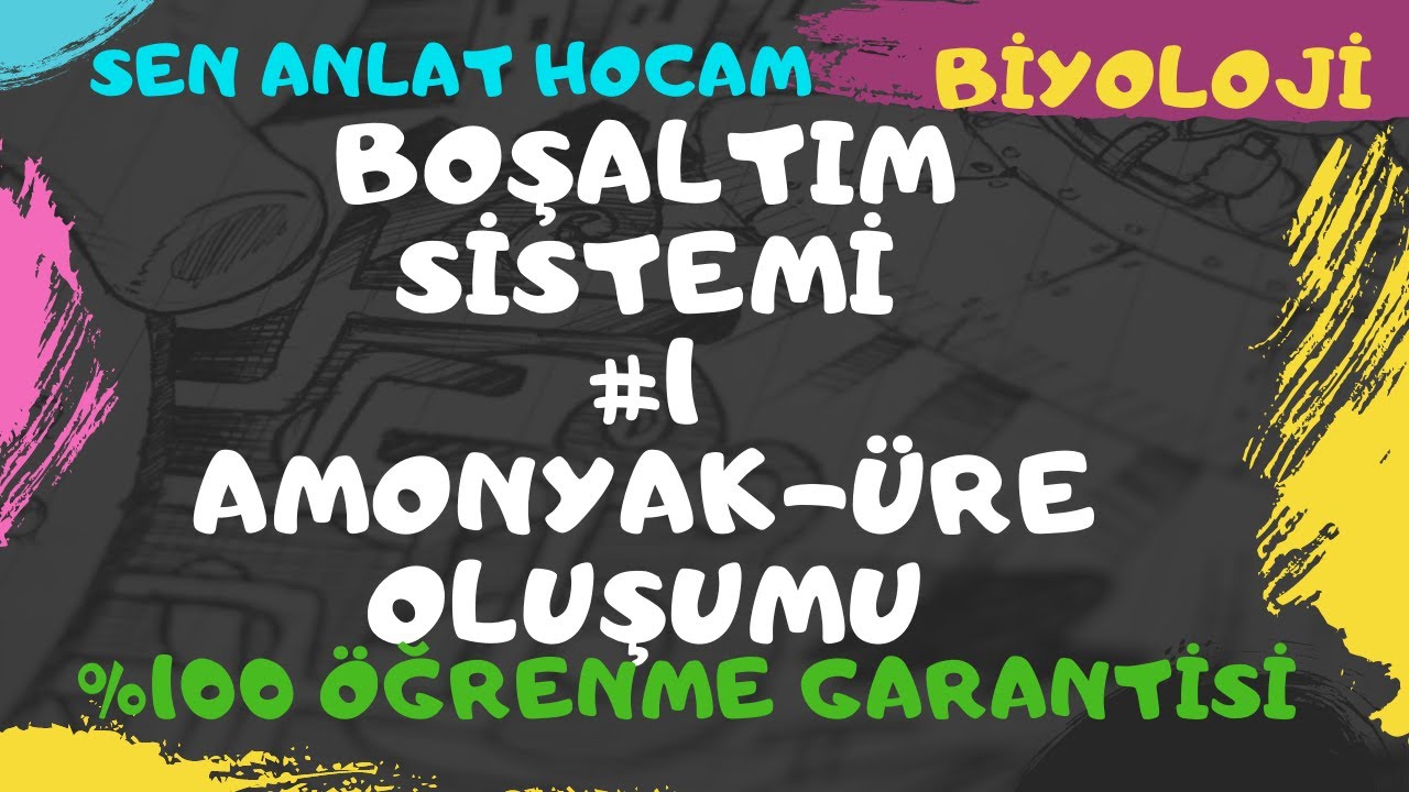 BOŞALTIM SİSTEMİ KONU ANLATIMI 1 | AMONYAK- ÜRE -ÜRİK ASİT OLUŞUMU | AYT BİYOLOJİ | ✅