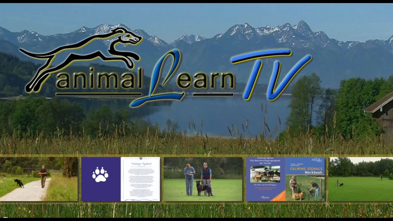 animal learn TV - 26.09.2014