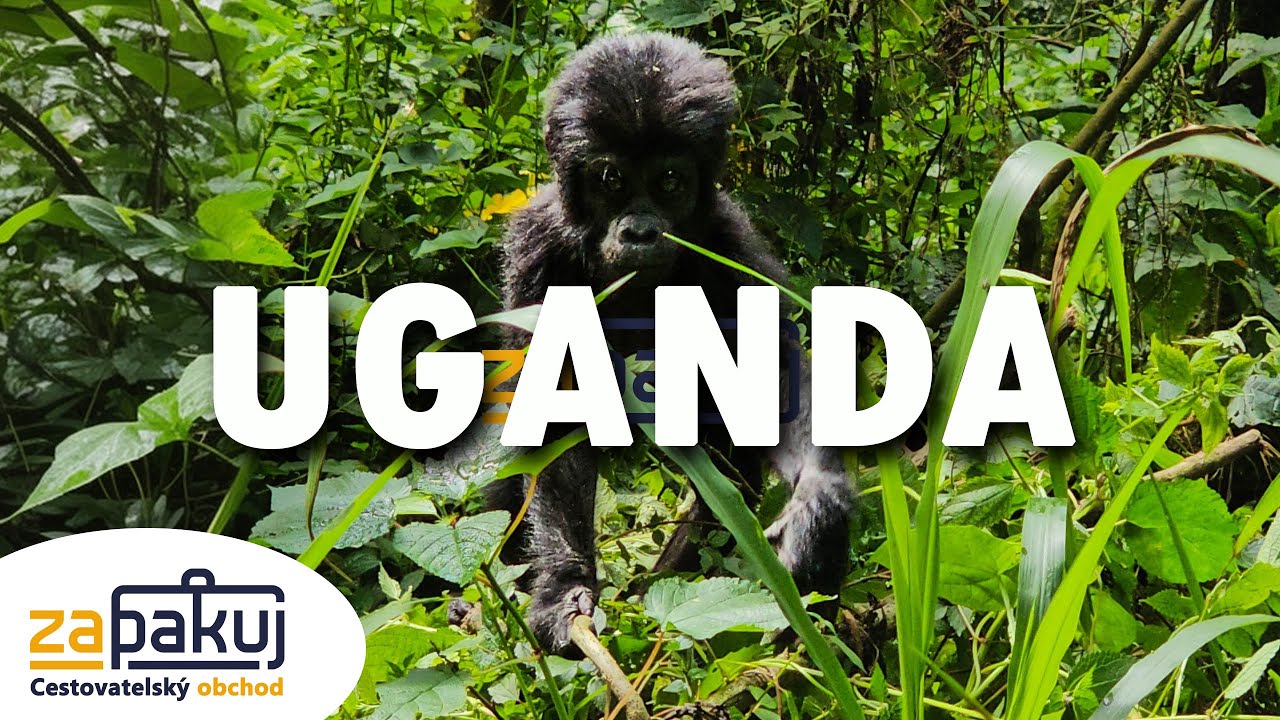 Uganda za 12 dní: TOP místa a zážitky z perly Afriky