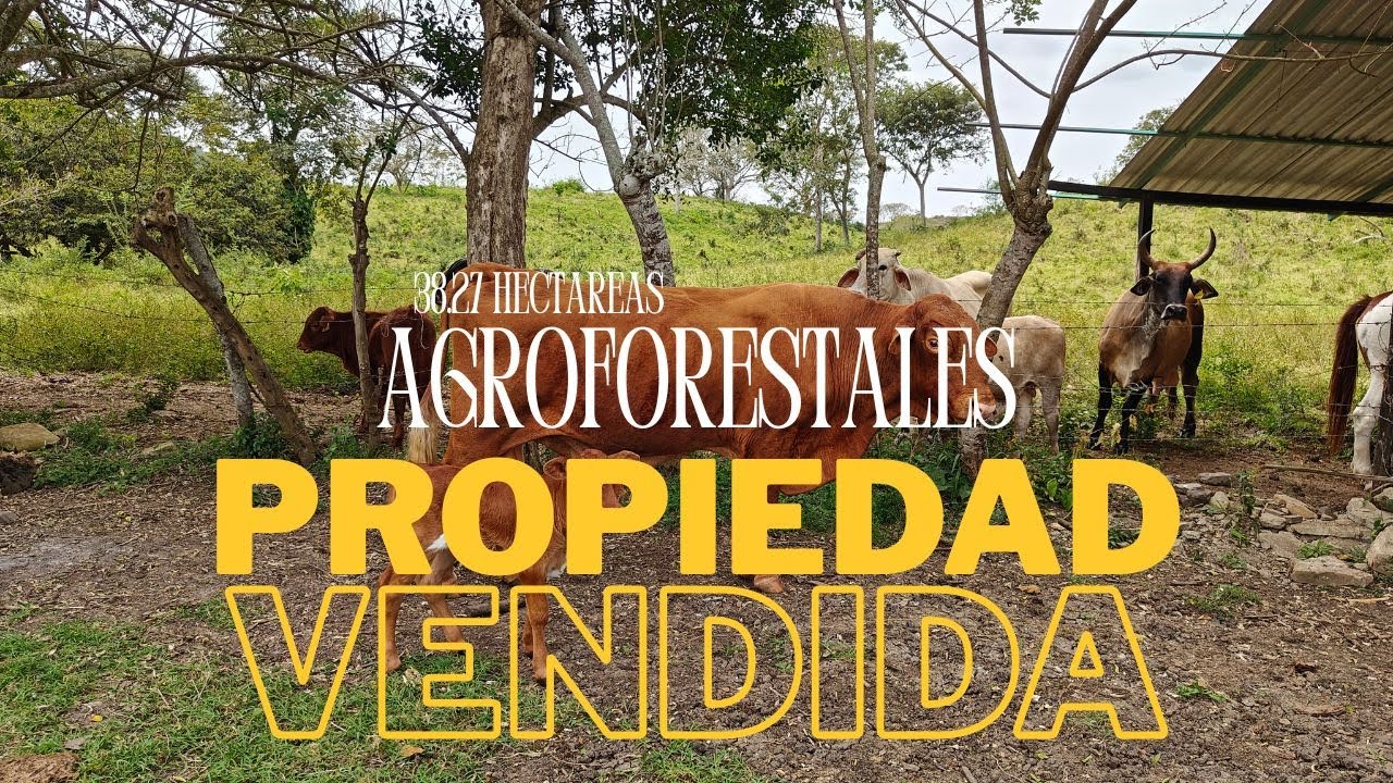 Venta de Rancho en  Agua Fría, Puebla