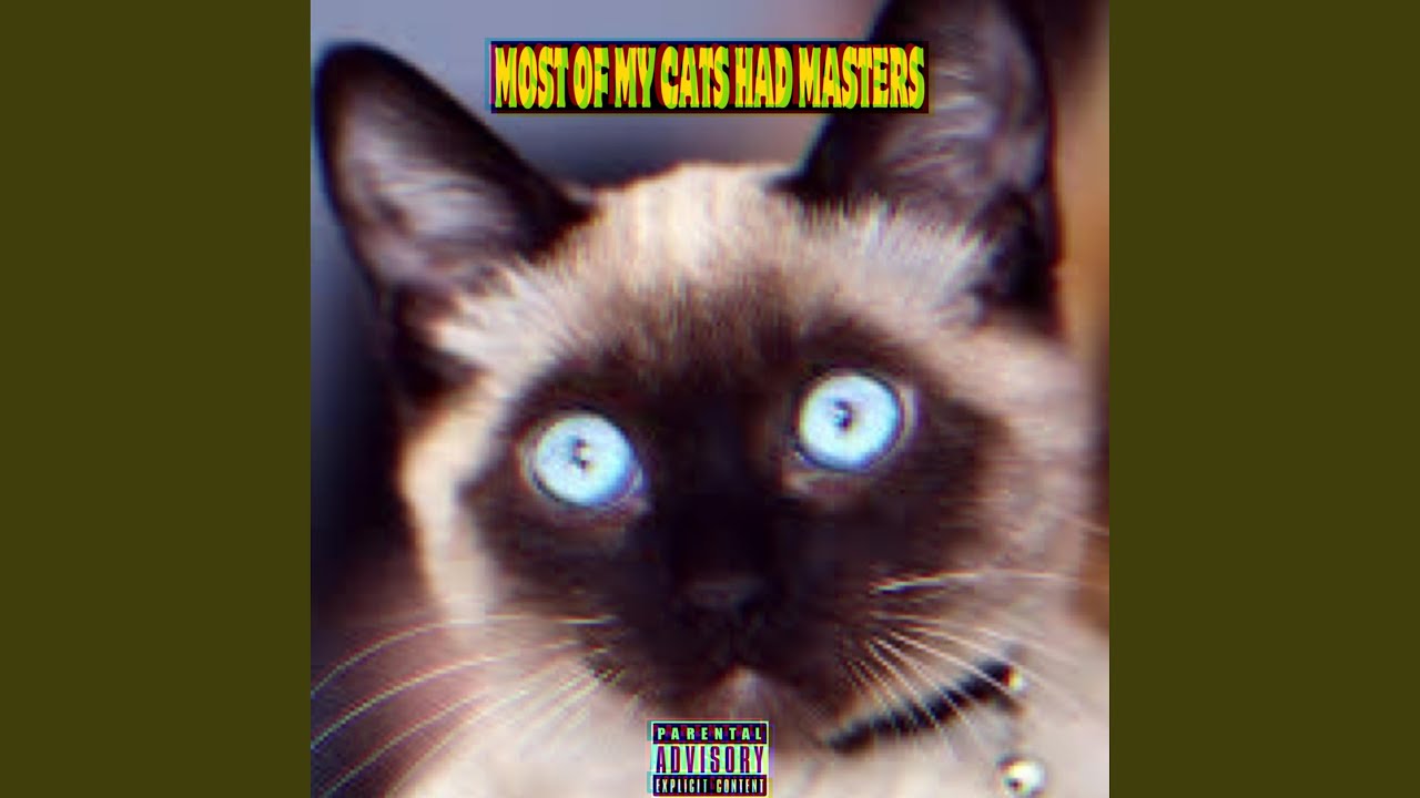 MOST OF MY CATS HAD MASTERS (feat. Ramzey)