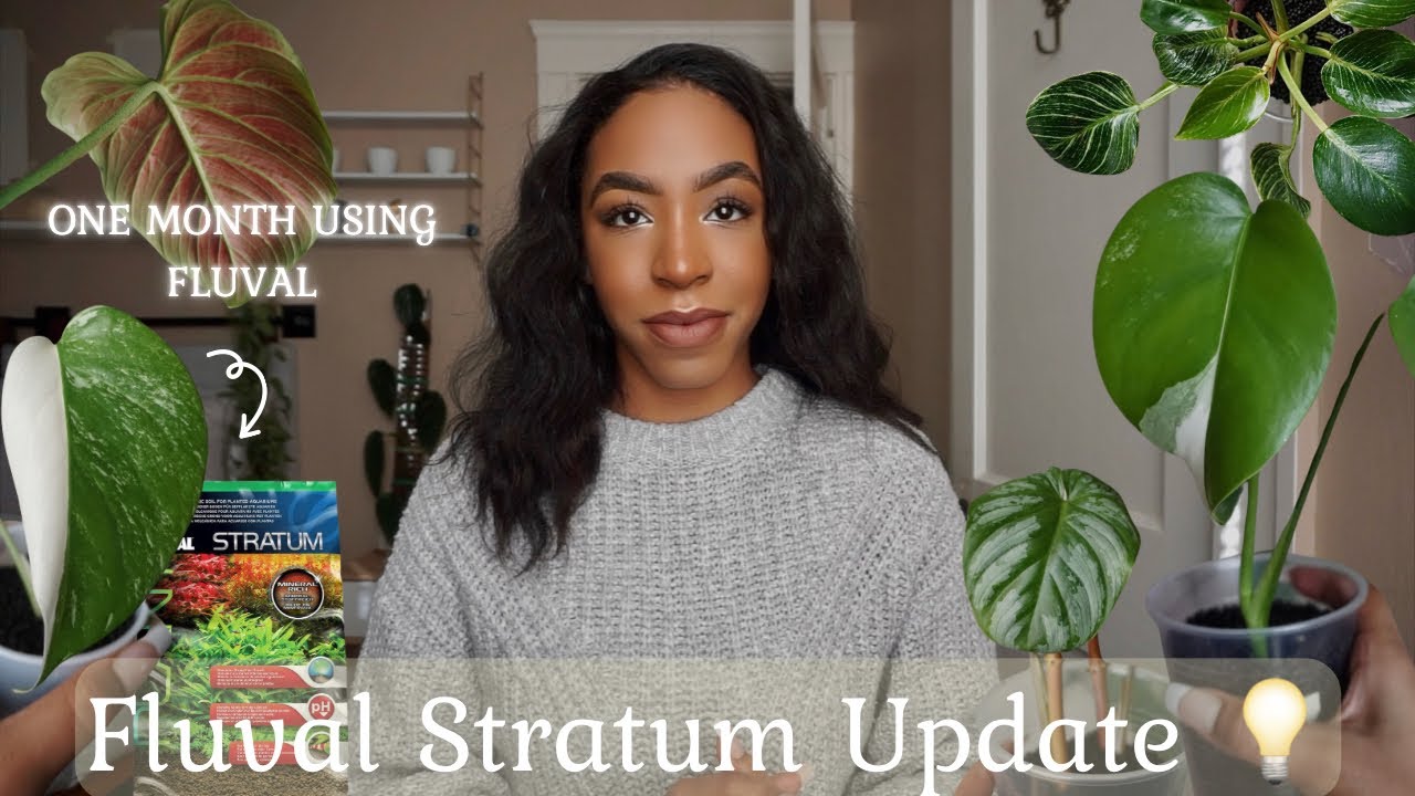 Обновление Fluval Stratum | как чувствуют себя мои комнатные растения после перехода на Fluval 🌱
