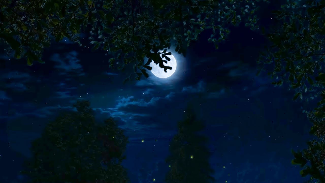 Cricket Conversations | Binaural Nighttime Ambience | Relaxing Nature Sounds for Sleep