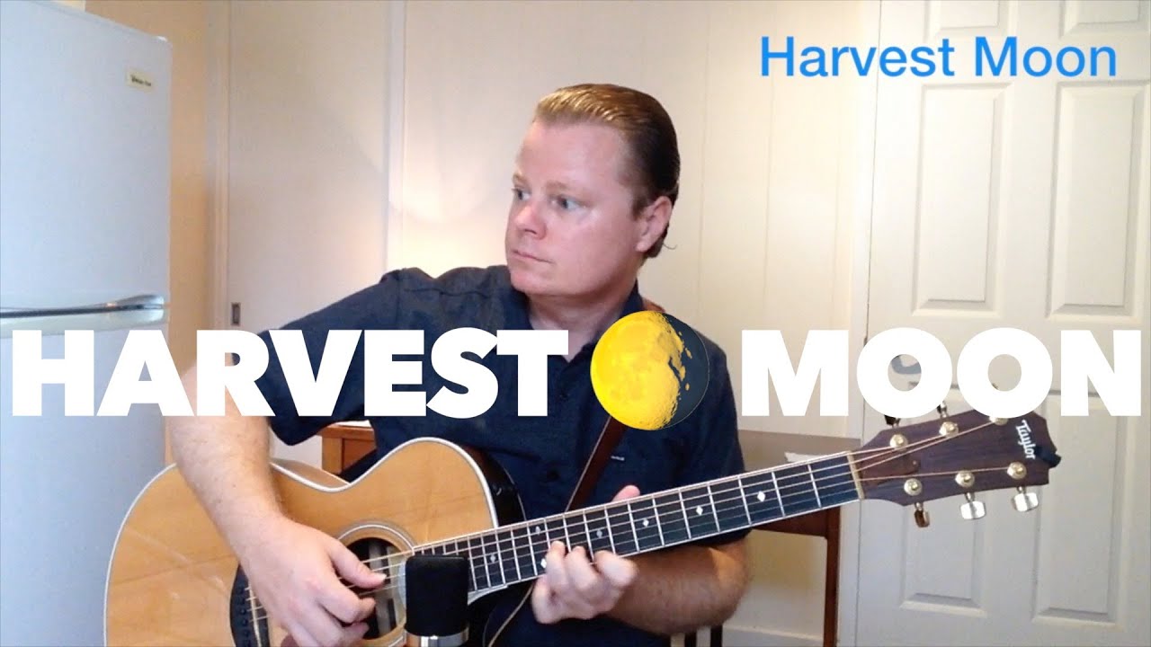 (Neil Young) Harvest Moon - Fingerstyle Guitar Cover