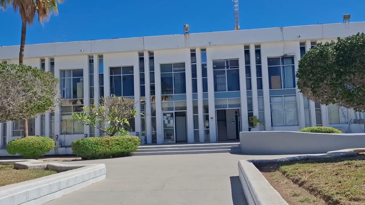 📉 Empresarios descartan cobro de piso en Los Cabos