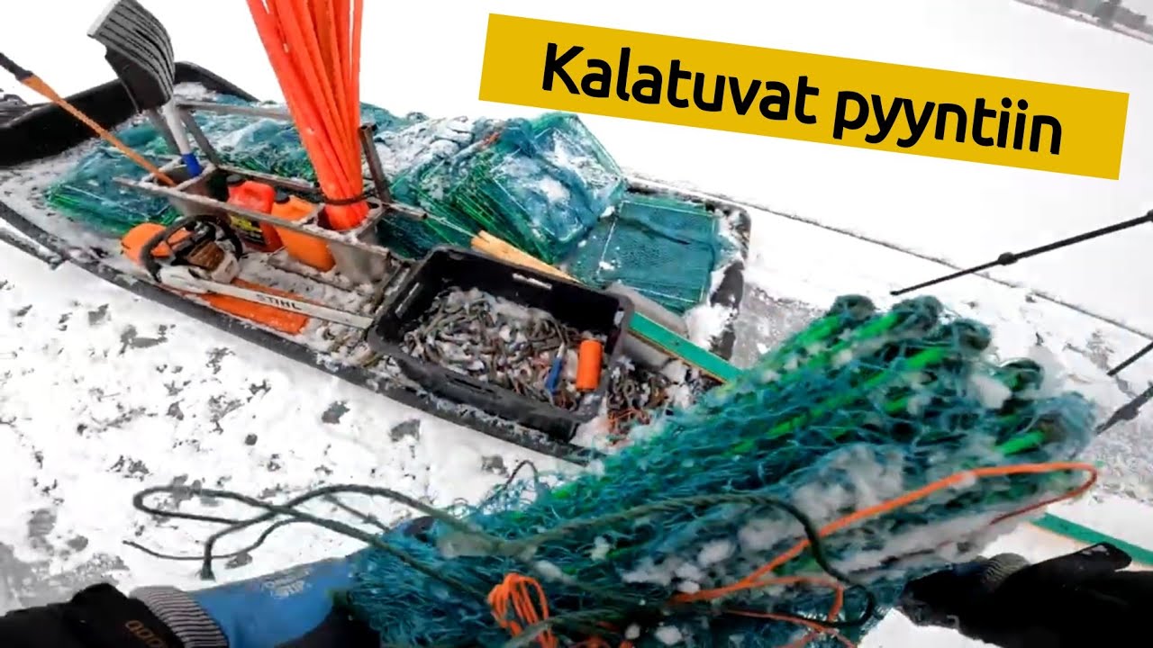Madepyydöillä 001/2023