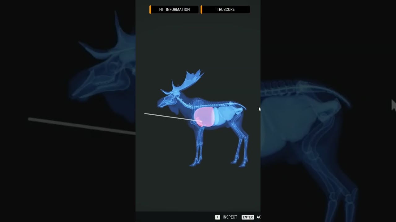 Gold Moose Spins Out After Heart Shot #thehuntercallofthewild #cotw #huntinggames #expansiveworlds