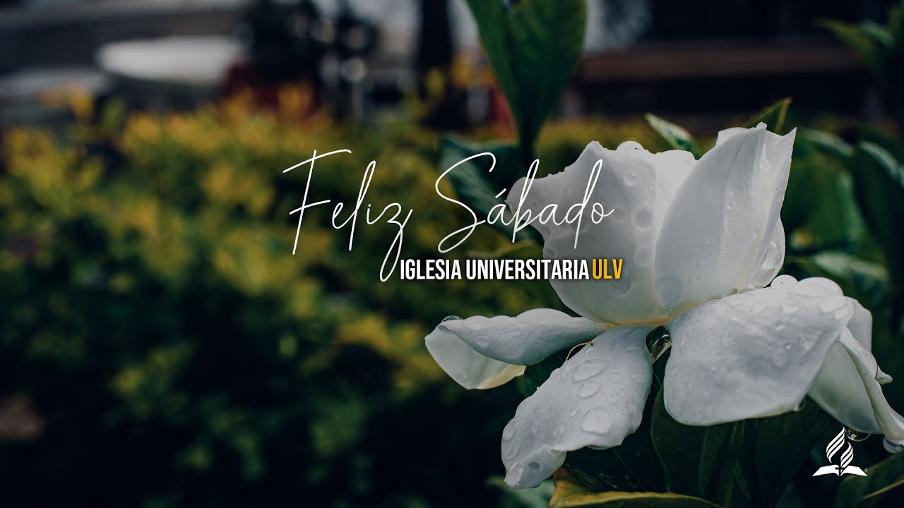 Universidad del Mañana Entrega de llaves | Lunes 09 de febrero del 2026