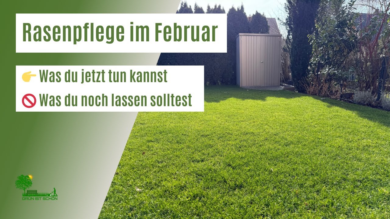 Rasenpflege im Februar | 👉 Was du jetzt tun kannst! | 🚫 Was du noch lassen solltest!