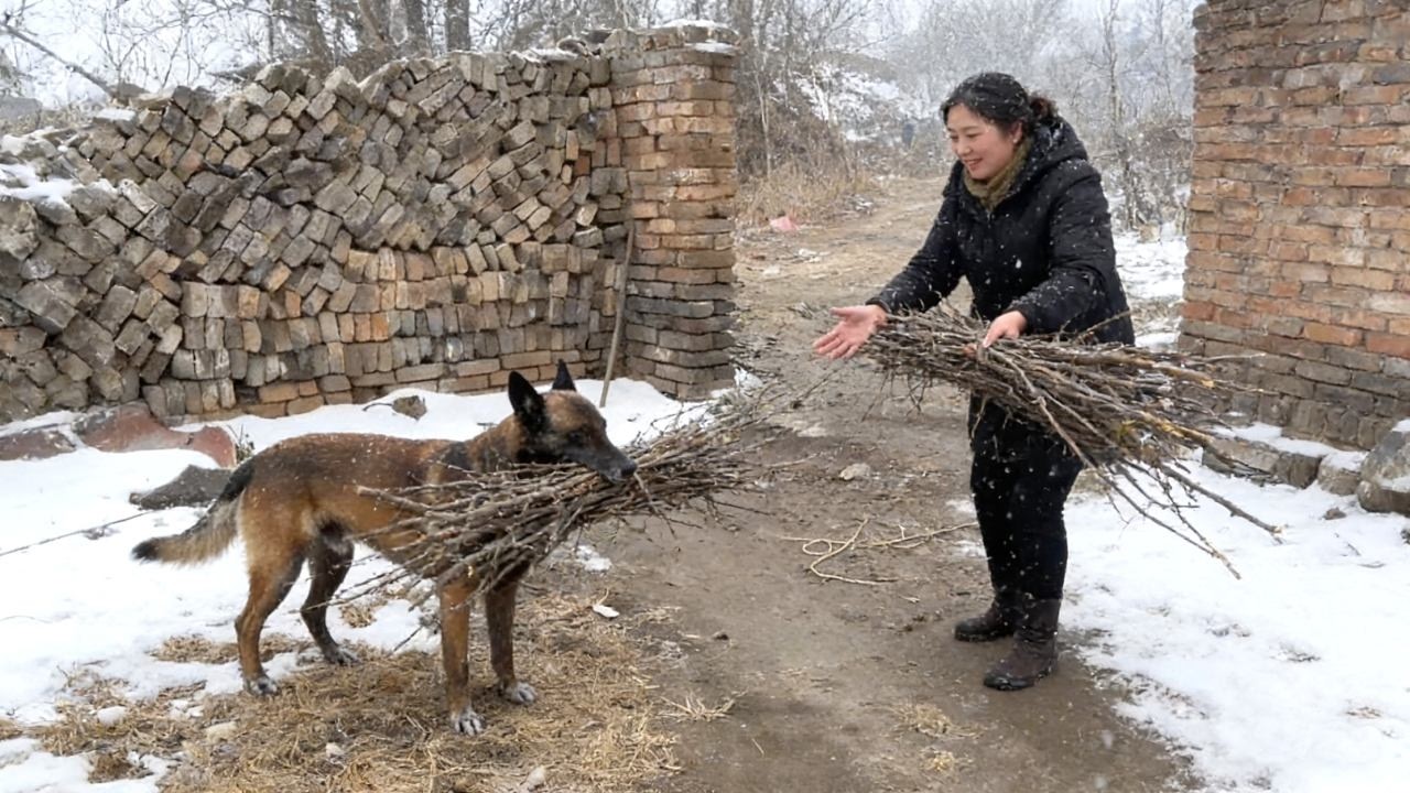 Сначала я думала, что взяла собаку из приюта, но позже выяснилось, что обрела члена семьи.
