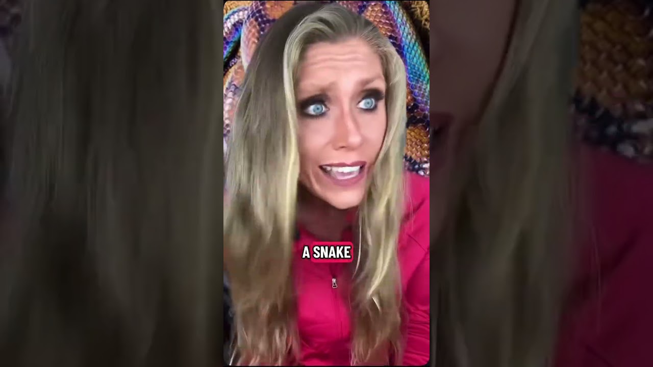 What to do if bite by a venomus 🐍 #comedy #skit #snake @natebargatze 