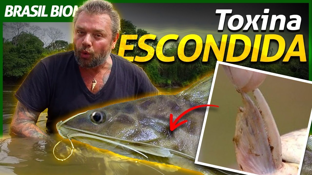 MANDI O PEIXE COM UMA FERROADA VENENOSA! | RICHARD RASMUSSEN