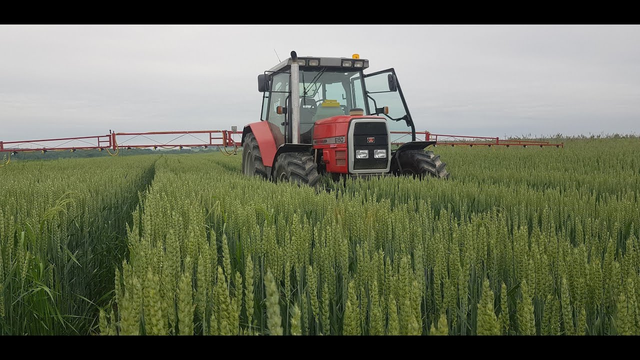 T3 w Juliusie - Testujemy GoPro Hero 6 $$ Massey Ferguson 6150 & Biardzki    4K
