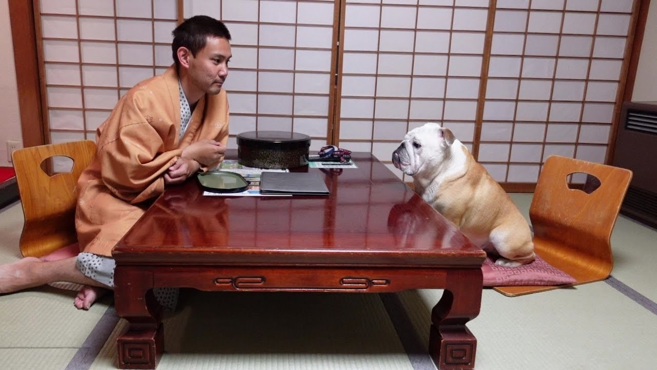 ぶるまる&パパだけで超高級旅館泊ったったWWW【群馬県草津温泉編】