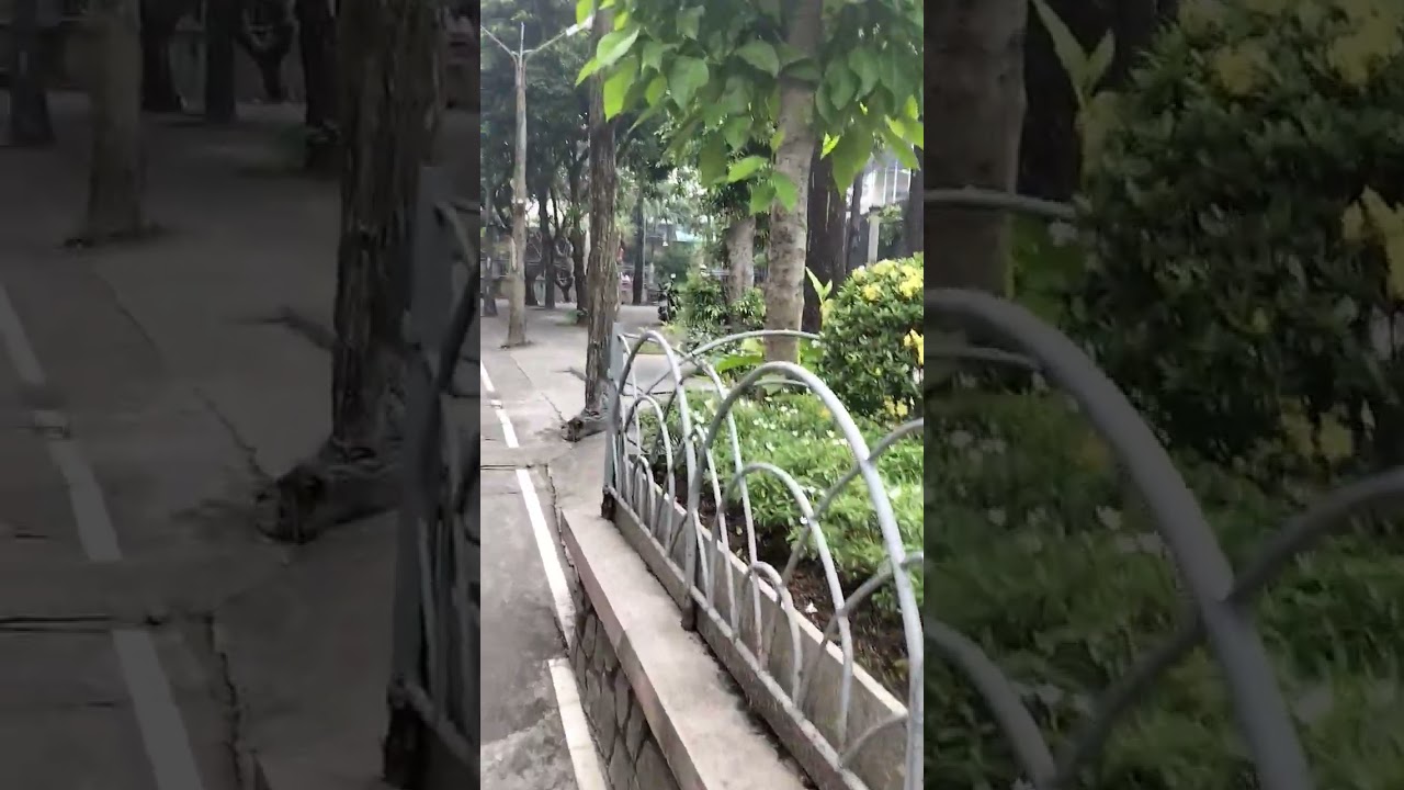 Thu về không có em 