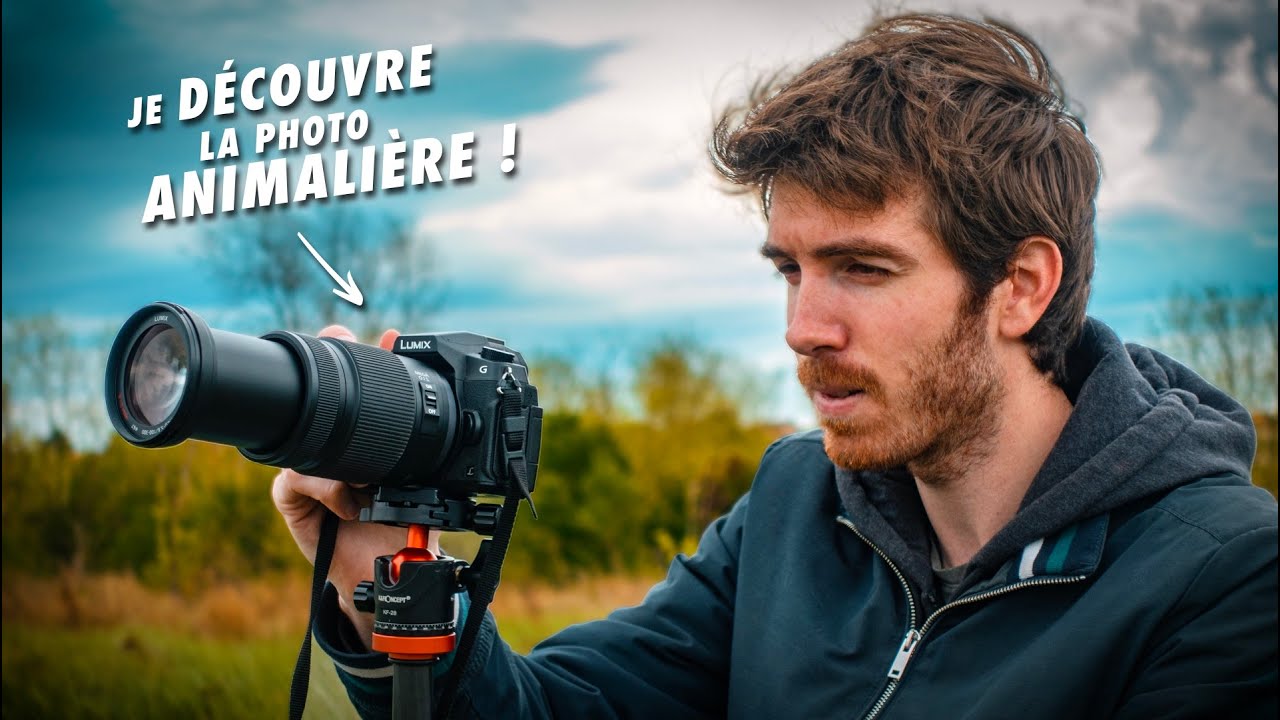 Ma première expérience en photo animalière 🦊