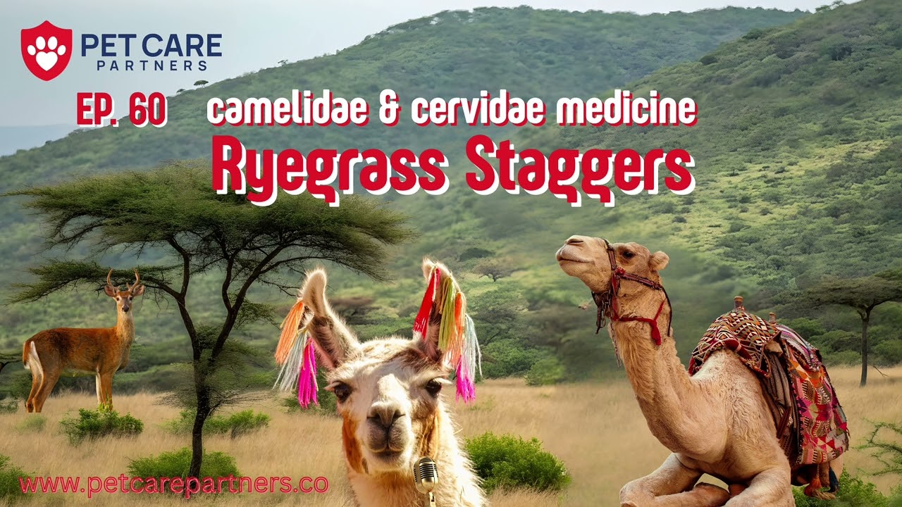EP 60 | Ryegrass Staggers in Camelidae & Cervidae
