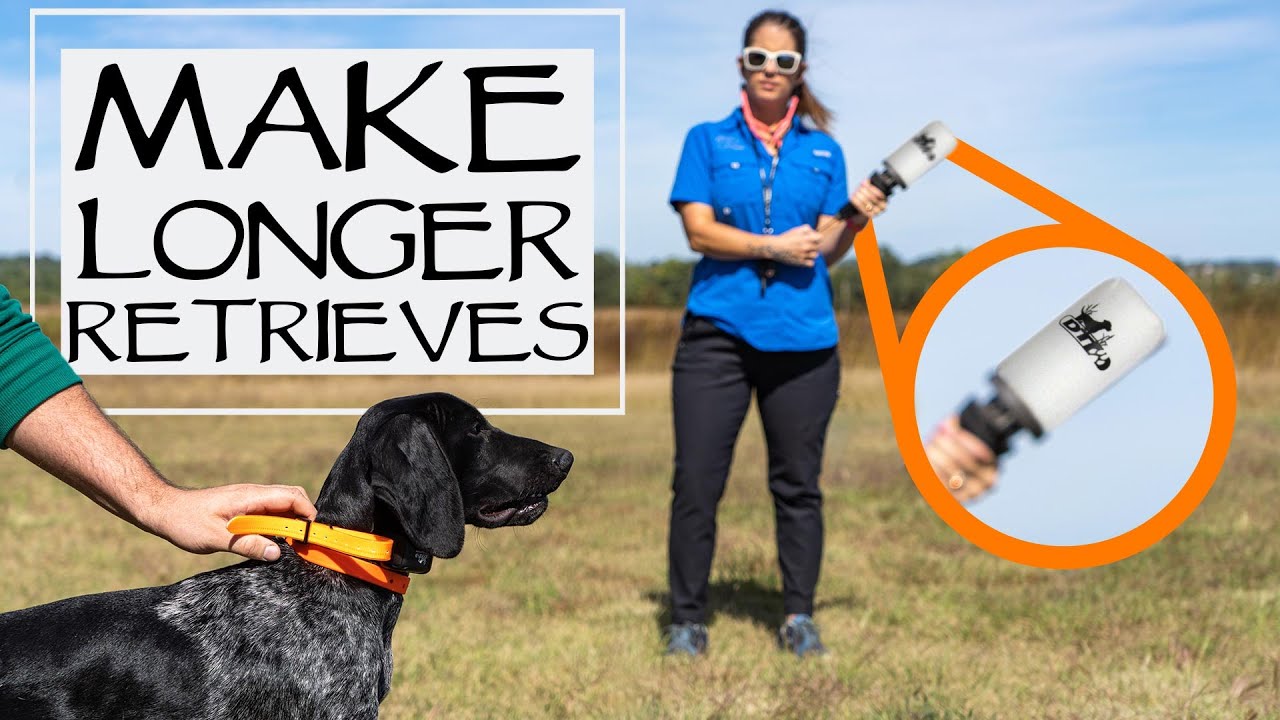 Make Longer Retrieves With D.T. Systems Dummy Launcher