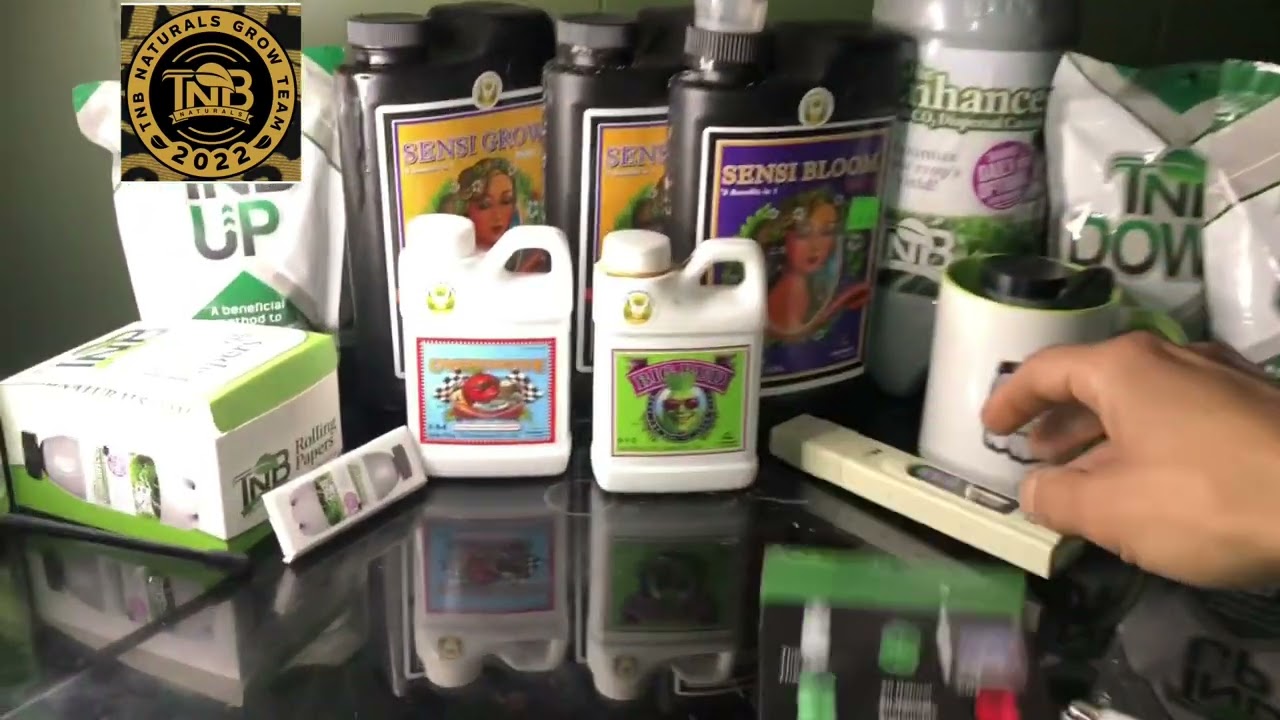 Growing Cannabis W/ Cheap Alibaba Lights Week 7 Bloom #tnbnaturals #advancednutrients Overdrive Time
