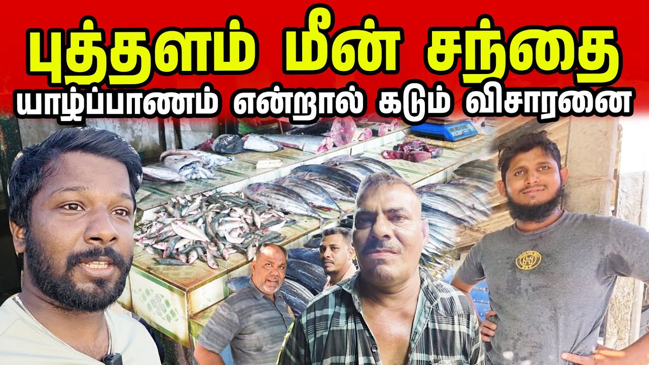 இலங்கை சந்தையில் கடும் விசாரணை | Puttalam Fish Market | Jaffna Suthan