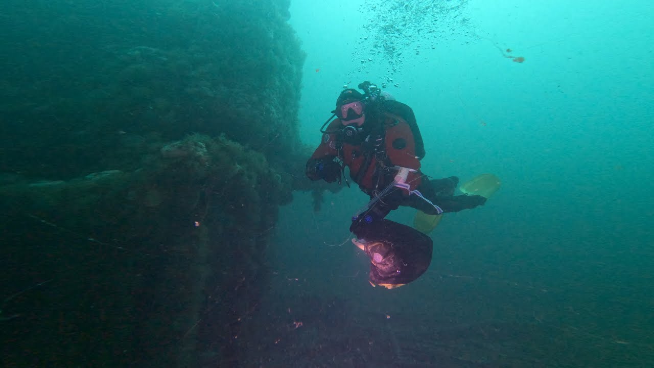 SCUBA Diving The Shipwreck Vizcaya May 1, 2025 Barnegat, New Jersey