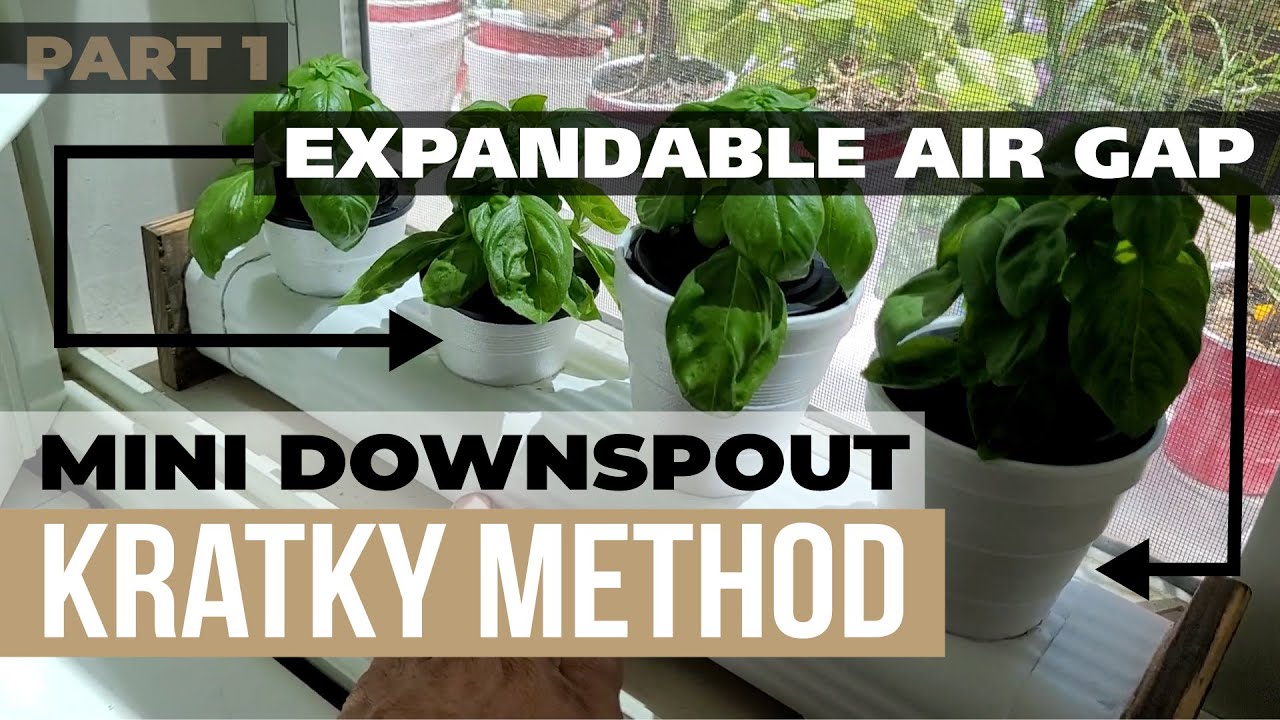 Kratky Hydroponic Downspout With Expandable Air Gap Experiment - DIY Tutorial