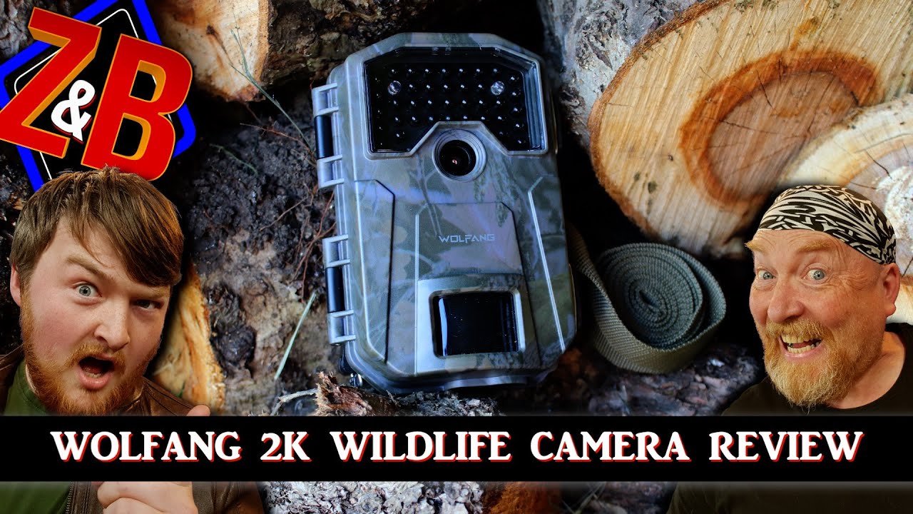 WOLFANG WT01 2K Wildlife Camera Review -  Zak & Buzz Review