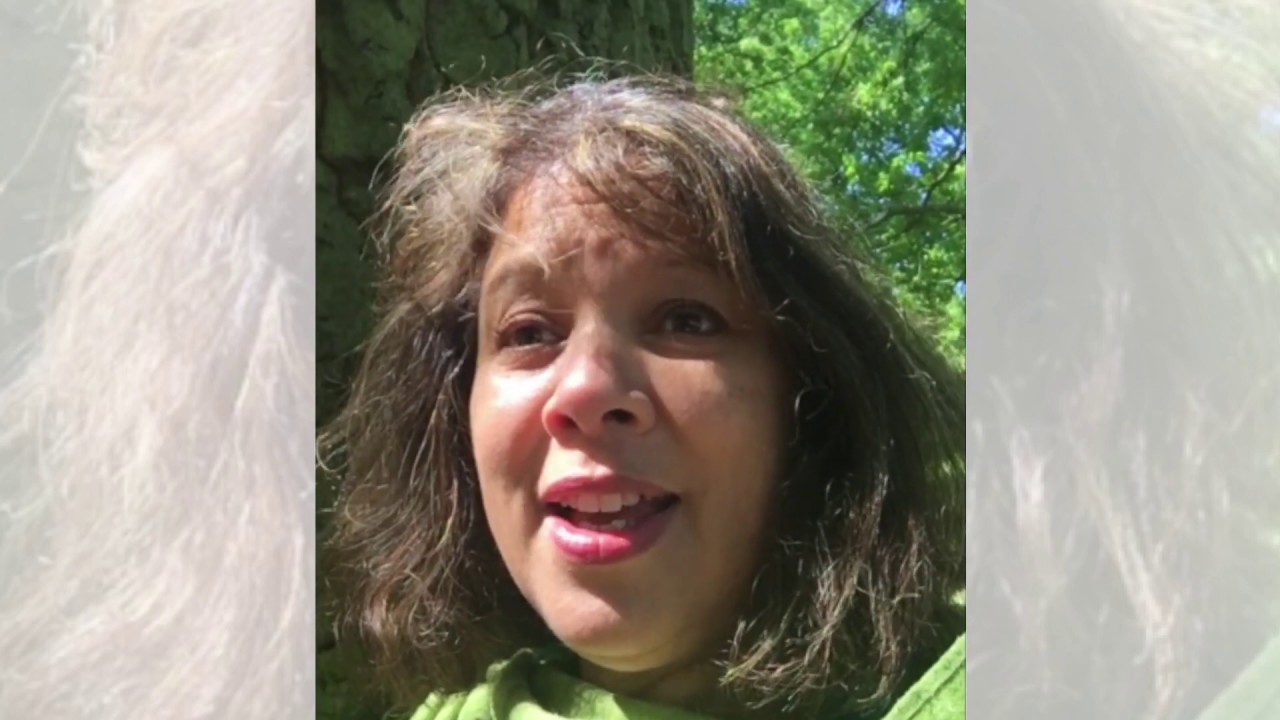 Forest Bathing Training feedback: Amanda Christie, TFBI Mindfulness & Meditation tutor