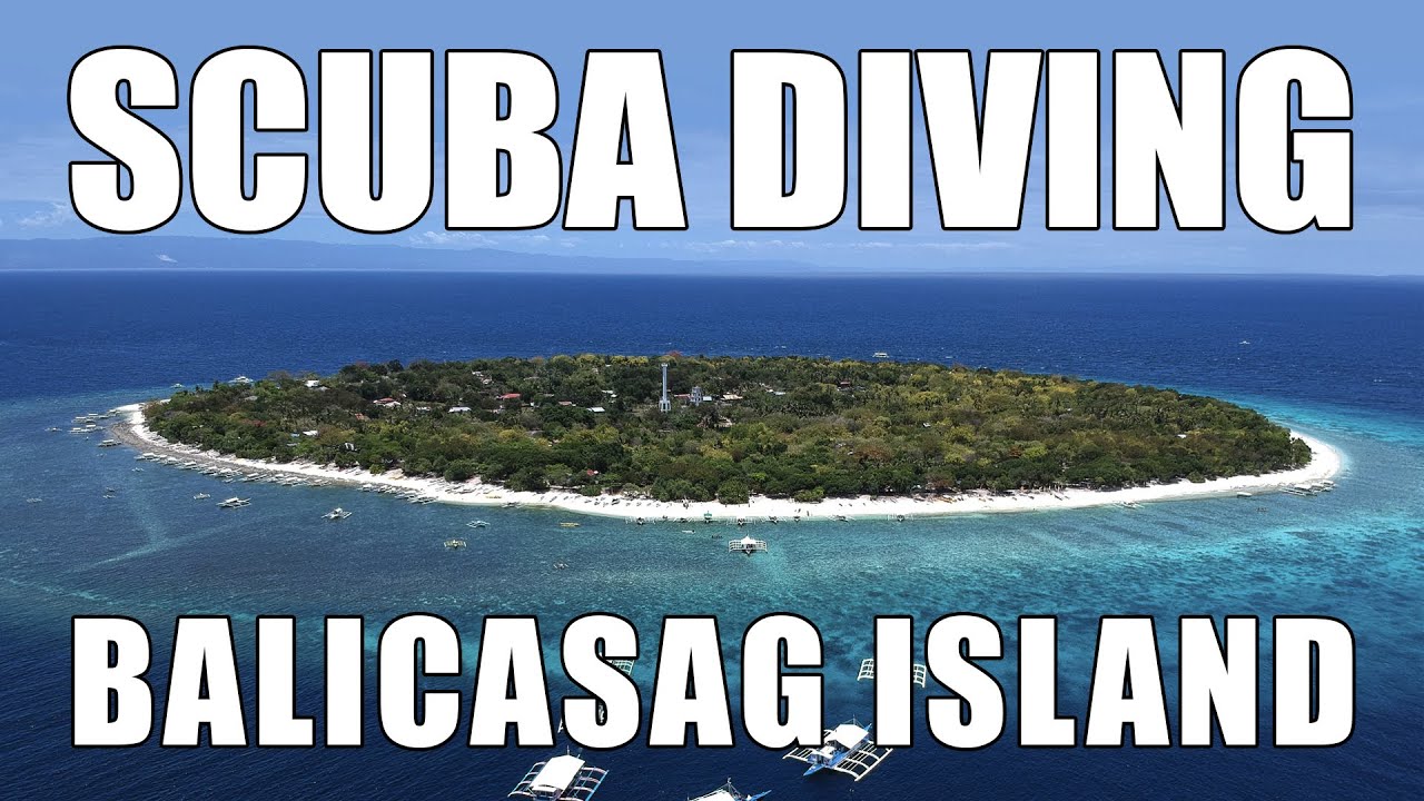 Scuba Diving in Balicasag Island, Bohol, Philippines (#MBoat) | Diving Philippines | MayenTV