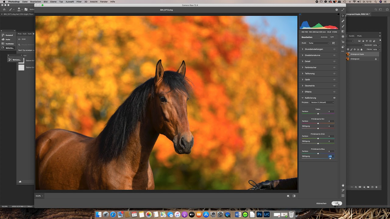 Quicktipp No.  26: Herbstfarben in Photoshop und Lightroom verst&auml;rken mit nur einem Slider!