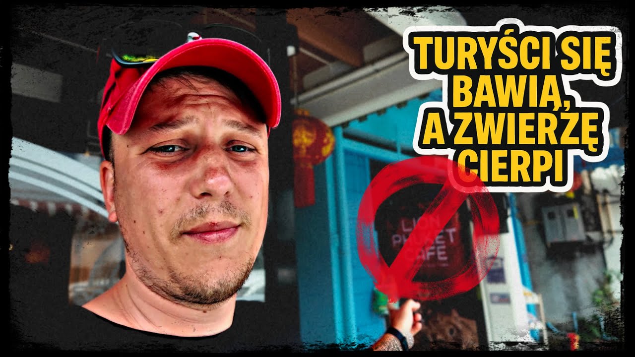 🇹🇭Śmieci na Phuket i cierpienie zwierząt