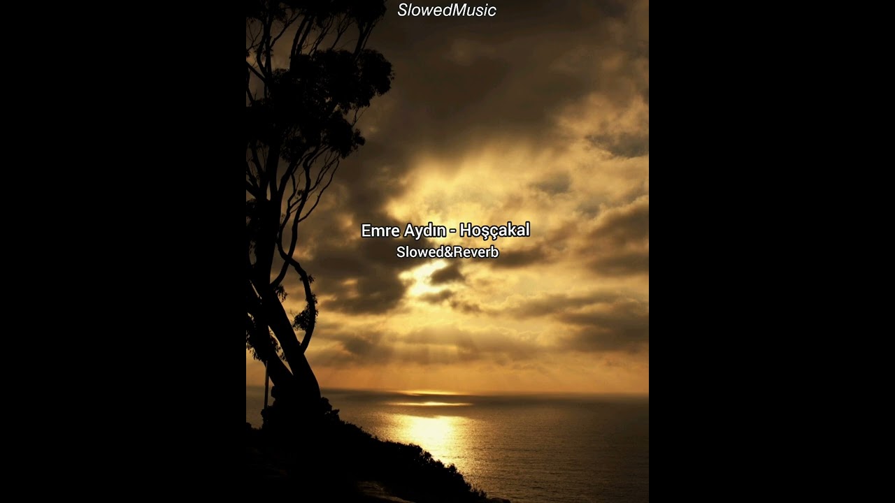 Emre Aydın - Hoşçakal (Slowed+Reverb)