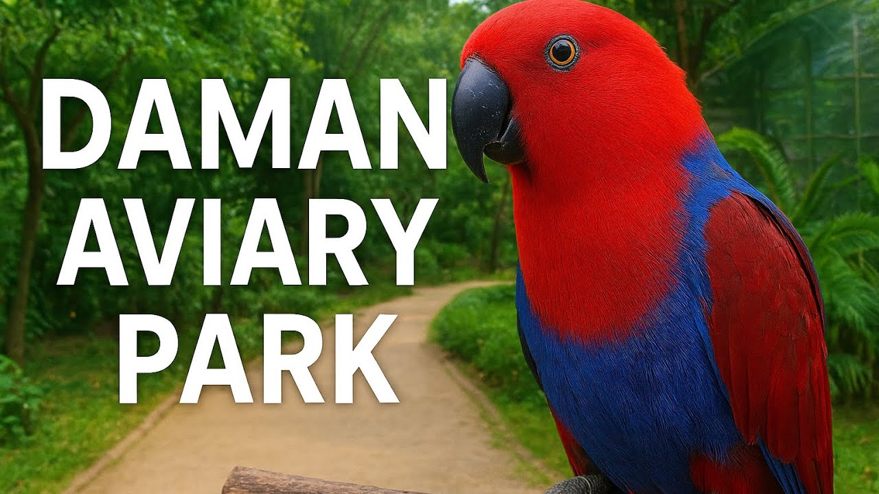 First Time at Daman Aviary Park | Bird Lovers Must Watch!&rdquo;