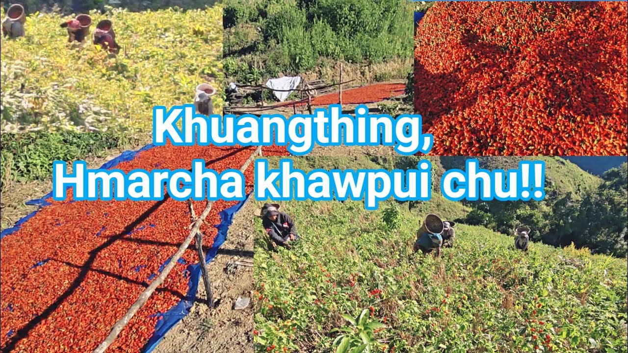 Khuangthing Thlawhhma fang leh ang.